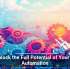 Unlock the Full Potential of Your IT Automation