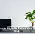 Houseplants Might Be Behind Your Sluggish Wi-Fi